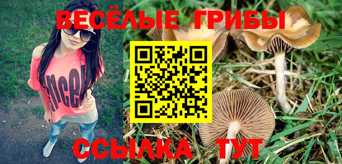 Псилоцибиновые грибы Magic Shrooms  Галлюциногенные грибы Psilocybine cubensis  Вход с VPN  Камышин 